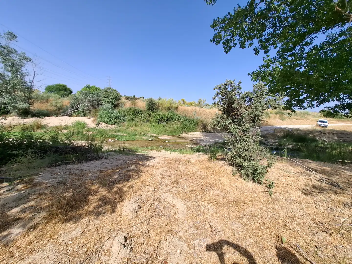 Rural land for sale in Colonia de la Estación, imagen 4