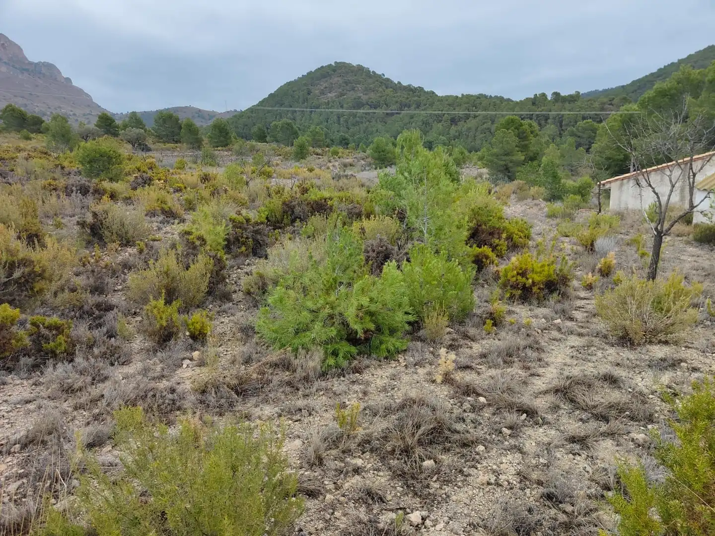 Villa avec jardin à vendre à Tibi, imagen 11