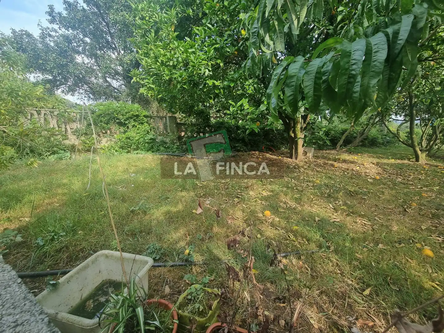 Maison à vendre à MONTICO, imagen 31