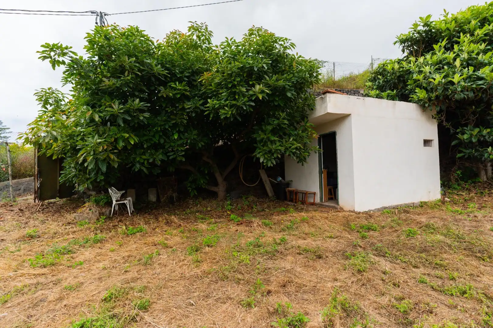 Terreno rustico in vendita a Las Cuevas - Los Gómez, imagen 5