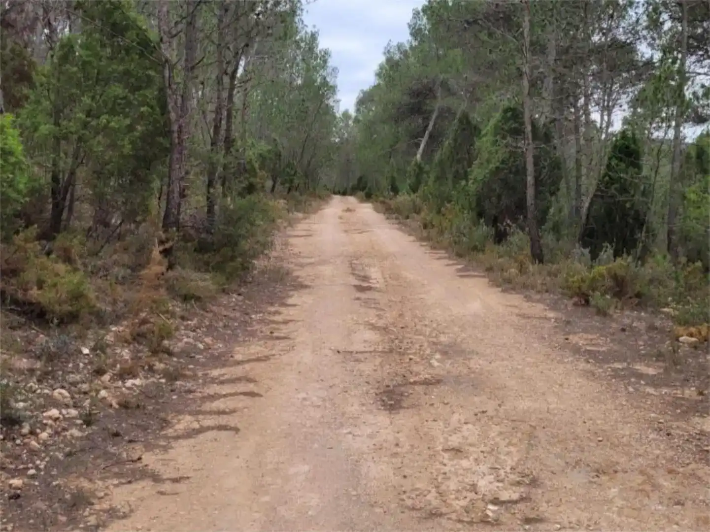 Vista exterior de Pis en venda en Cortes de Arenoso