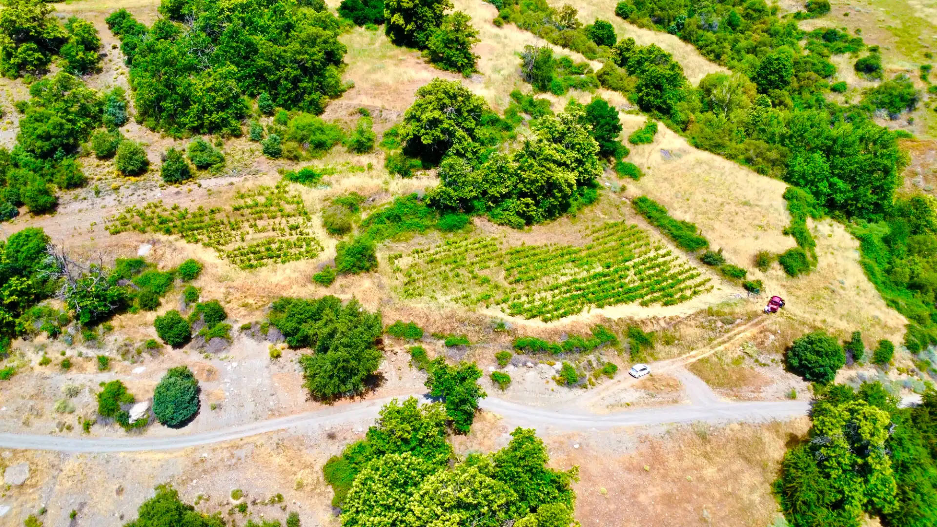 Terreni e lotti in vendita a Alpujarra de la Sierra, imagen 21