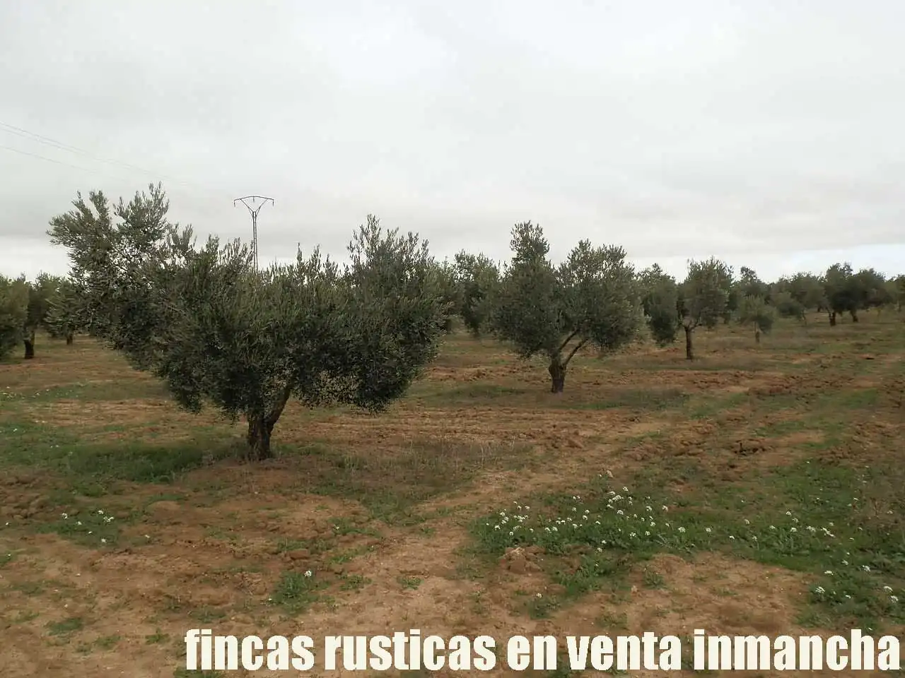 Terreno rustico in vendita a Campo de Criptana, imagen 9