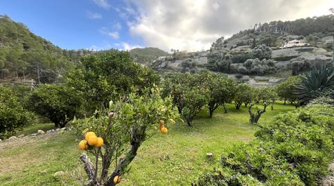 Photo 5 of Country house to rent in Banyalbufar, Illes Balears