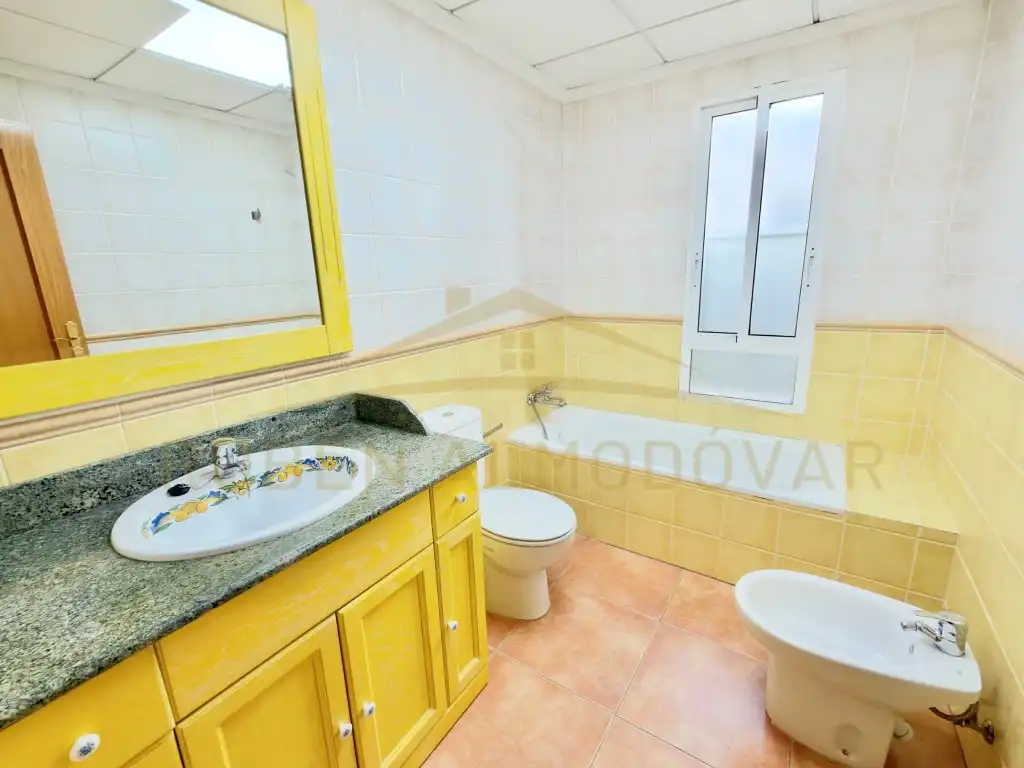 Piso con piscina en venta en Calle Miguel Hernandez 67, imagen 14