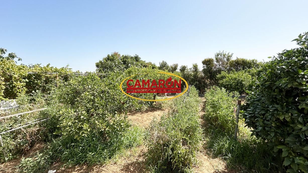 Finca rústica en venda en La Puebla del Río amb Piscina