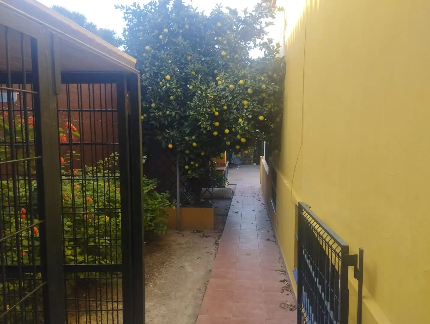 Jardín de Casa o chalet en venta en Bormujos con Aire acondicionado, Calefacción y Terraza