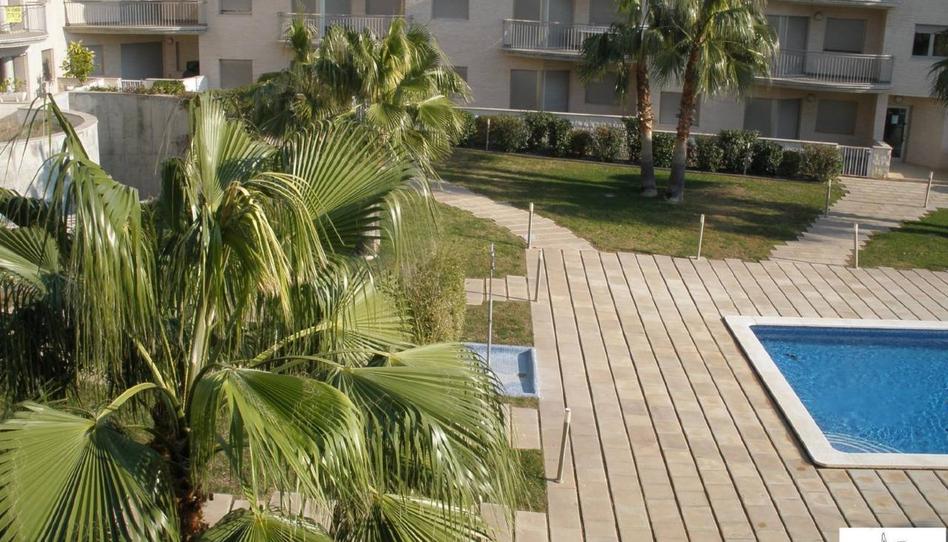 Photo 1 of Flat to rent in Alcanar, Tarragona