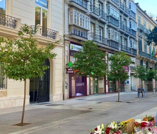 Vista exterior de Oficina de lloguer en Málaga Capital amb Aire condicionat i Balcó