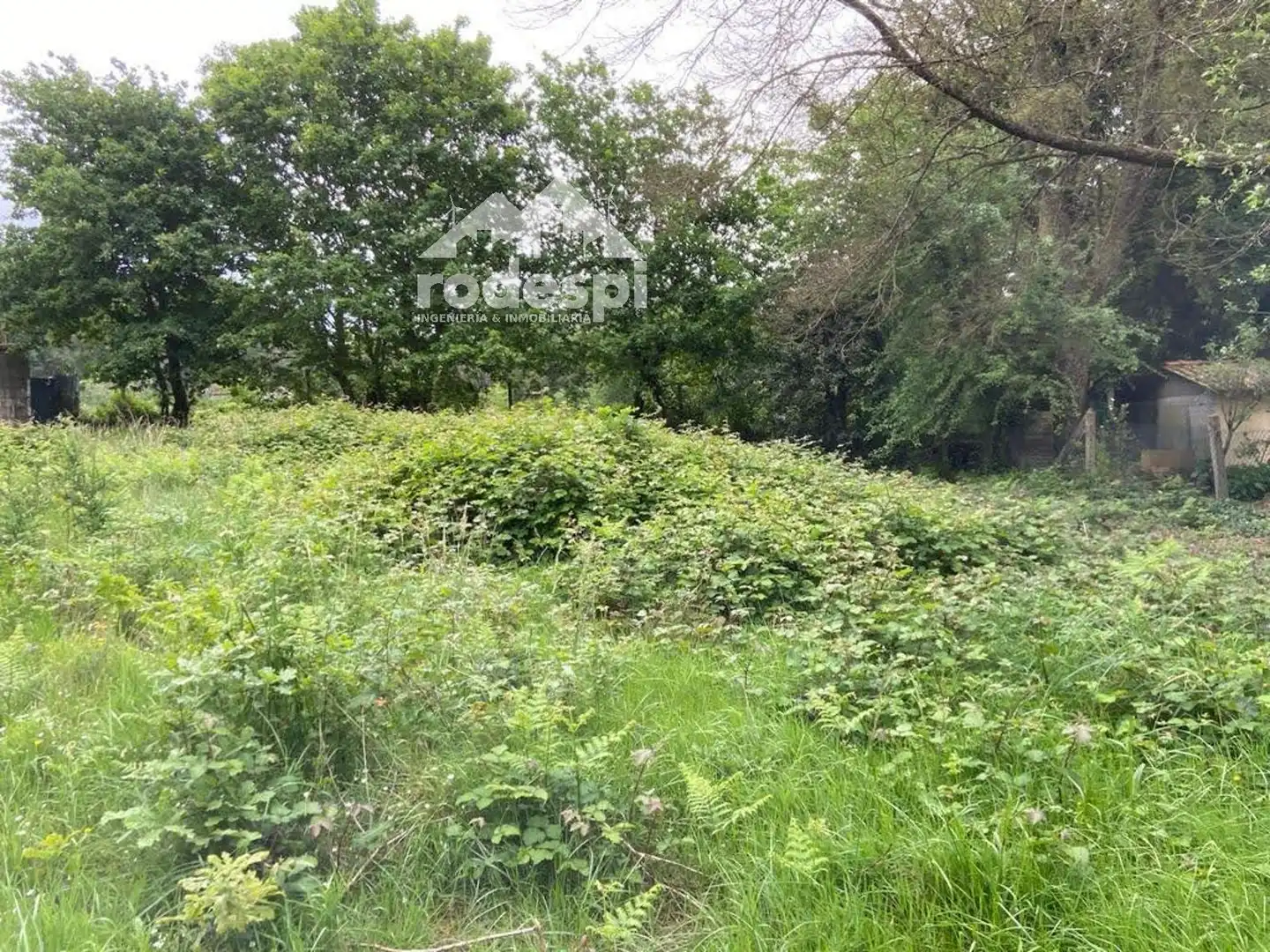 Rural land for sale in Covelo, imagen 14