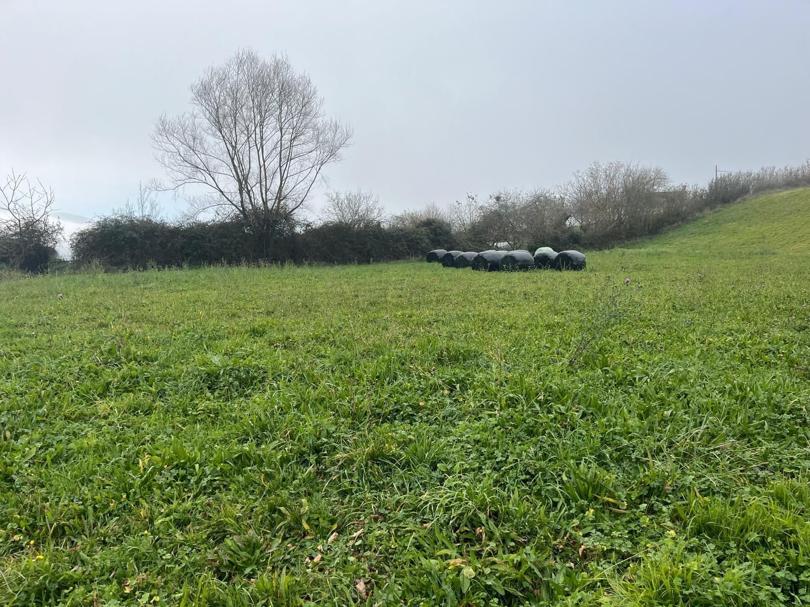 Residencial en venda en Langreo