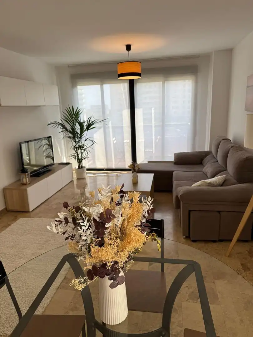 Sala de estar de Piso de alquiler en Valencia con Aire acondicionado, Jardín privado y Terraza