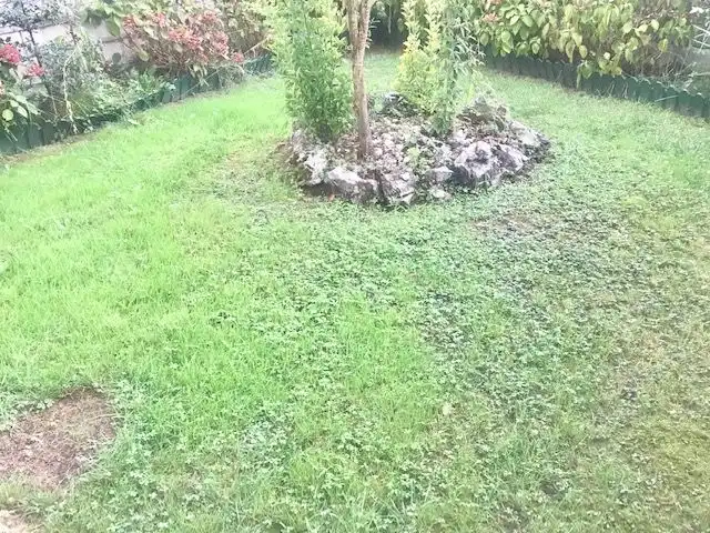 Maison avec jardin à vendre à Arnuero, imagen 7