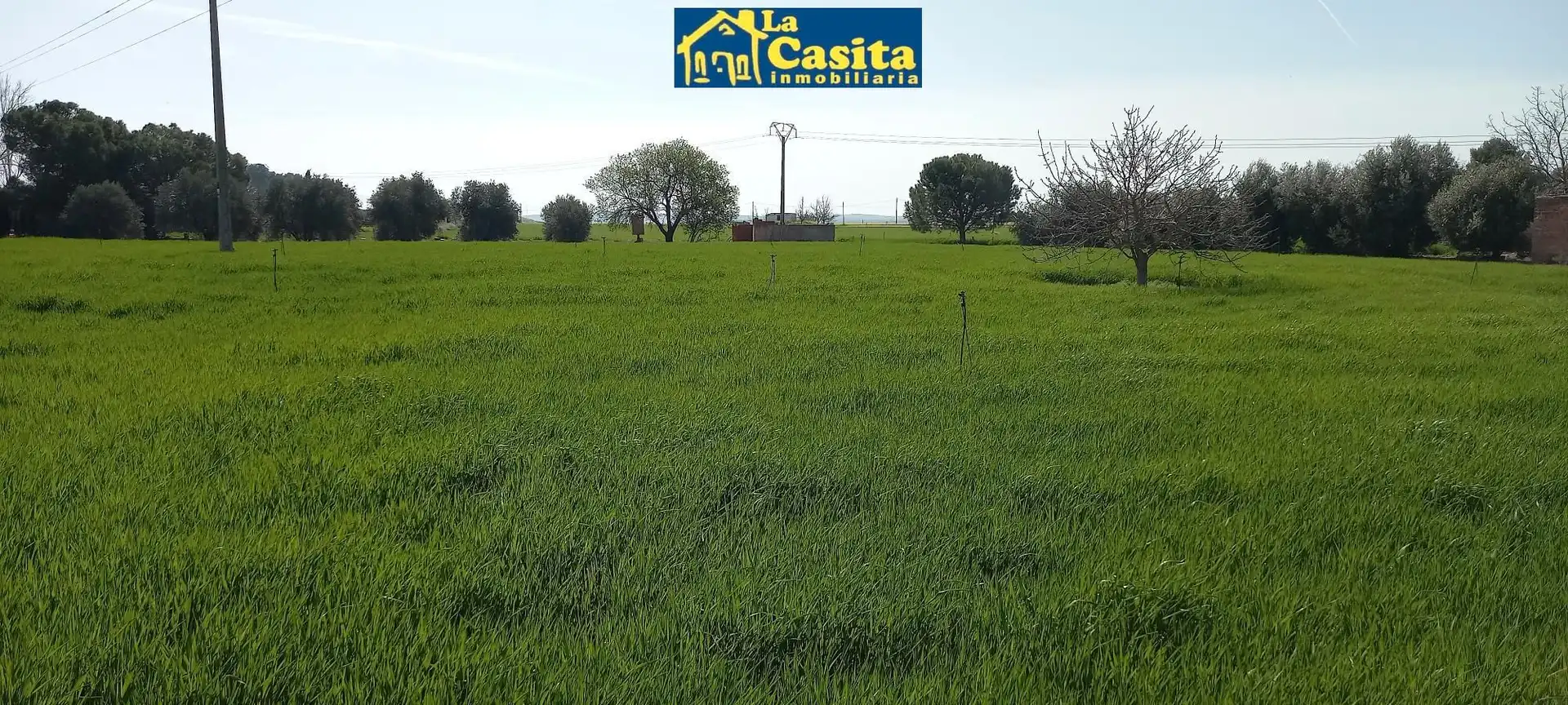 Nau industrial en venda a Almagro, imagen 23