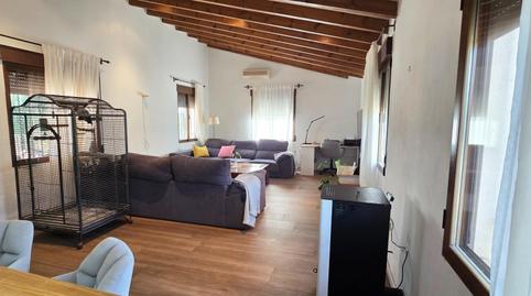 Photo 4 of House or chalet for sale in Novelda, Alicante