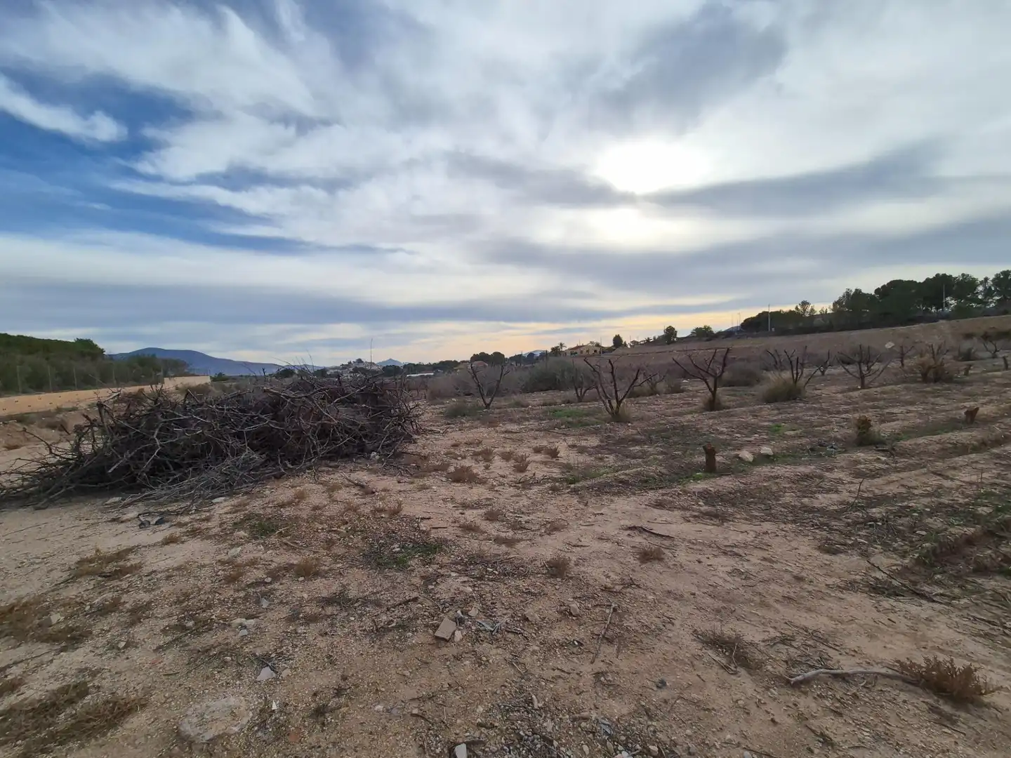 Terreny rústic en venda a Monóvar  / Monòver, imagen 6