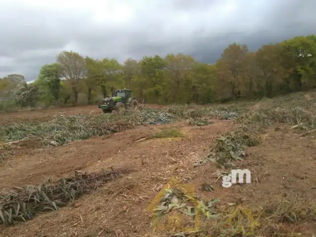 Terreni e lotti in vendita a Guimarei, imagen 7