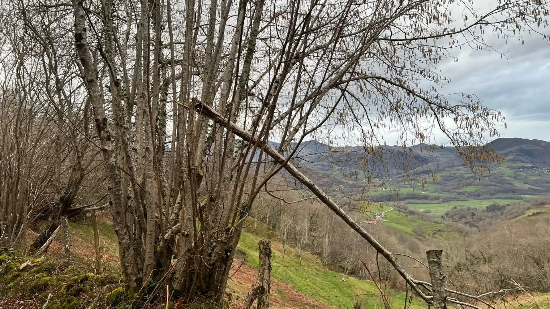 Terreno rustico in vendita a Cangas de Onís, imagen 26
