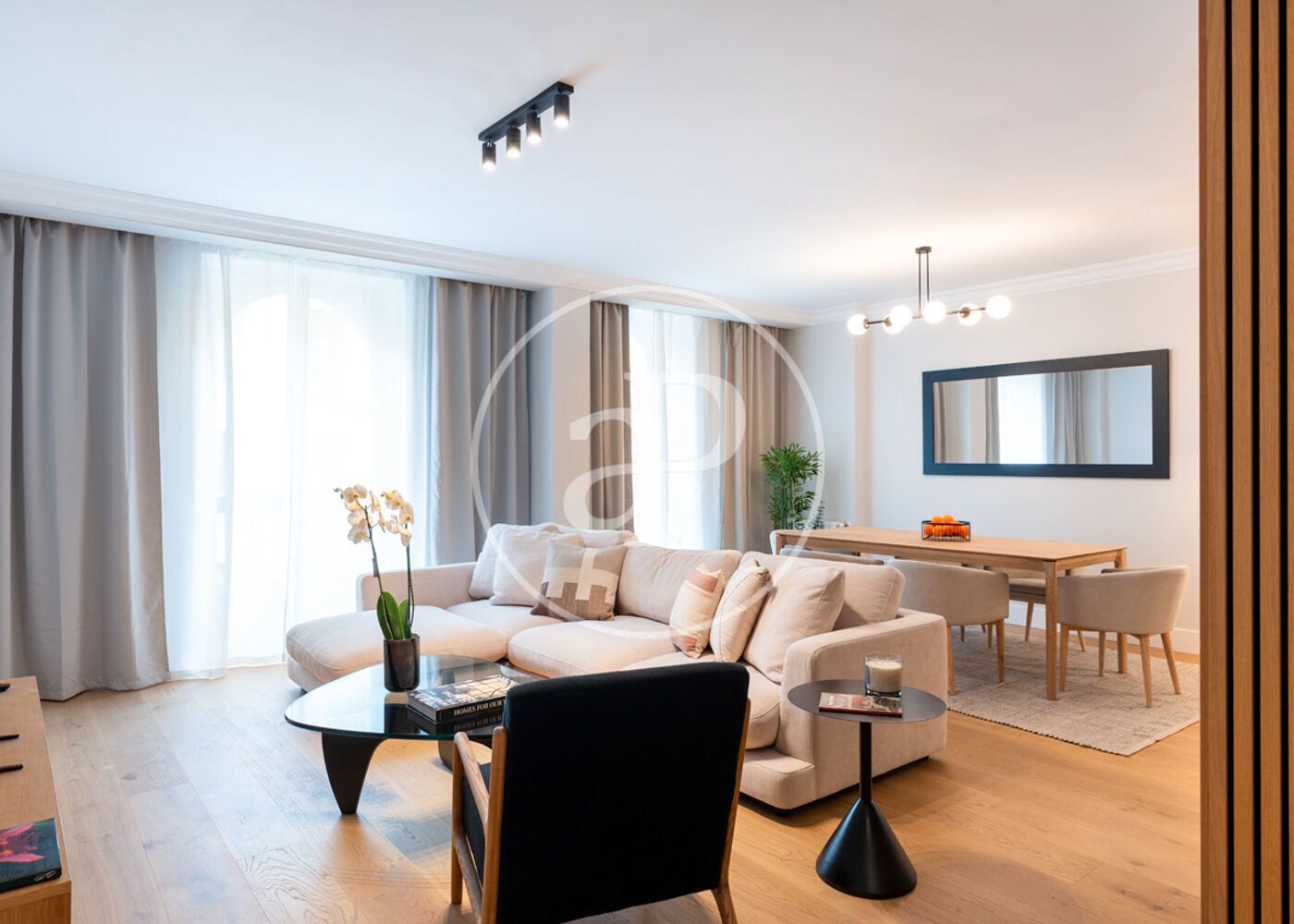 Living room of Flat to rent in  Madrid Capital  with Air Conditioner, Heating and Furnished