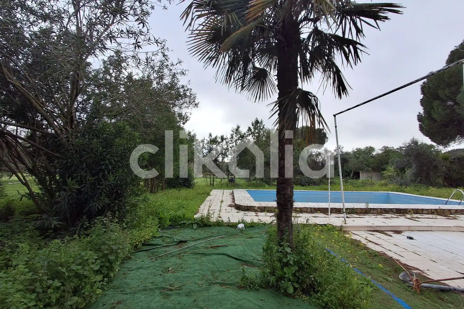 Casa o xalet en venda en Marchena amb Calefacció, Jardí privat i Piscina