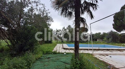 Foto 2 de Casa o xalet en venda a Marchena, Sevilla