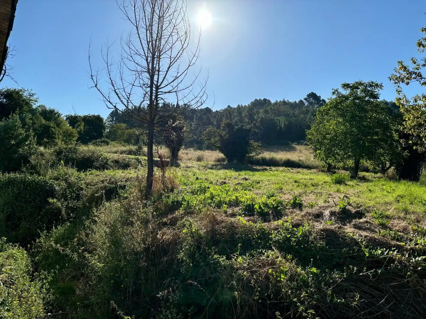 Residencial en venta en Arganza