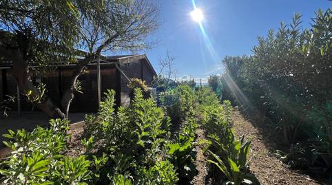 Foto 5 de Casa o xalet de lloguer a L'Olleria, Valencia