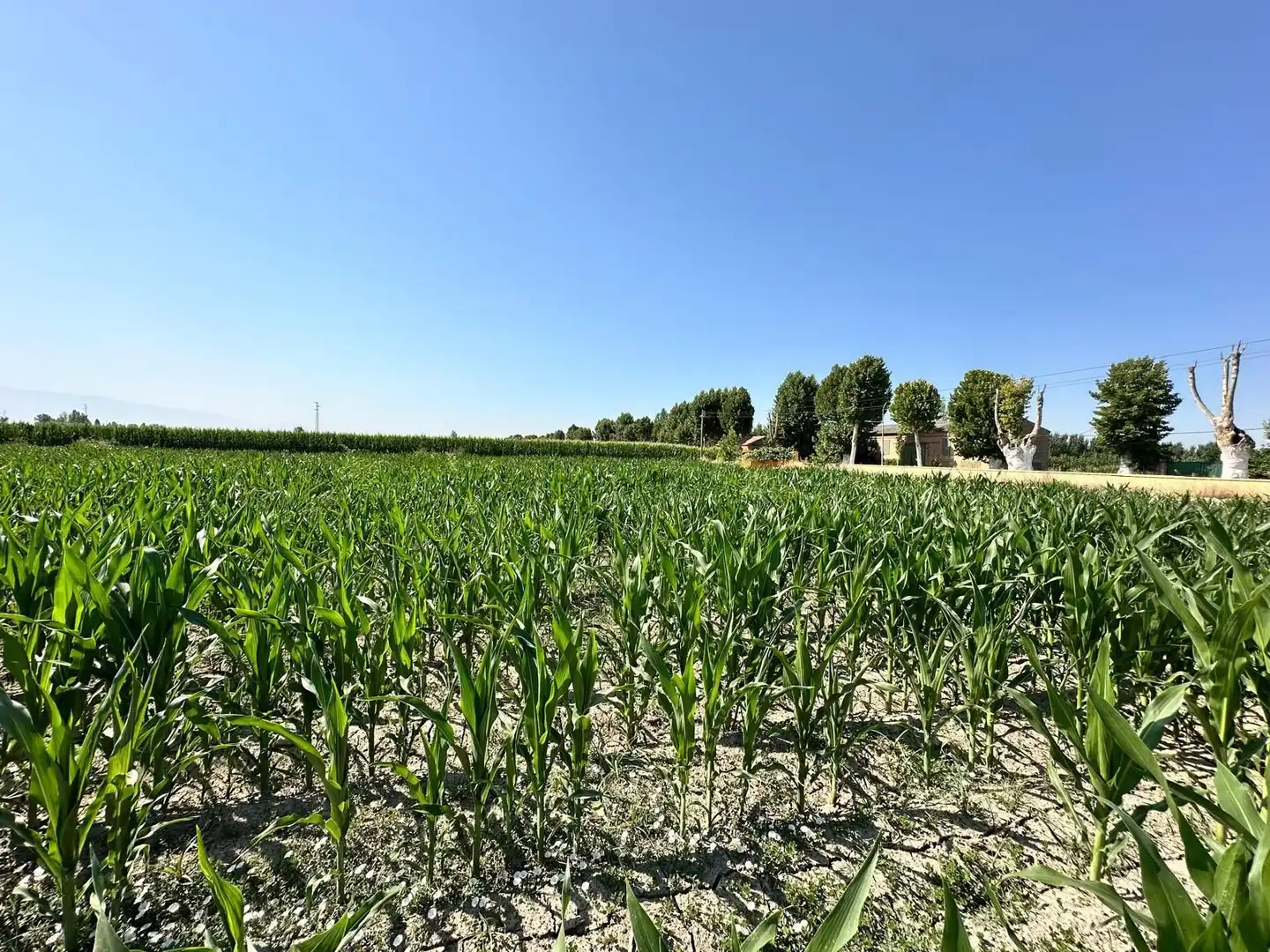 Grundstücke und Bauplätze zum Verkauf in Fuente Vaqueros, imagen 8