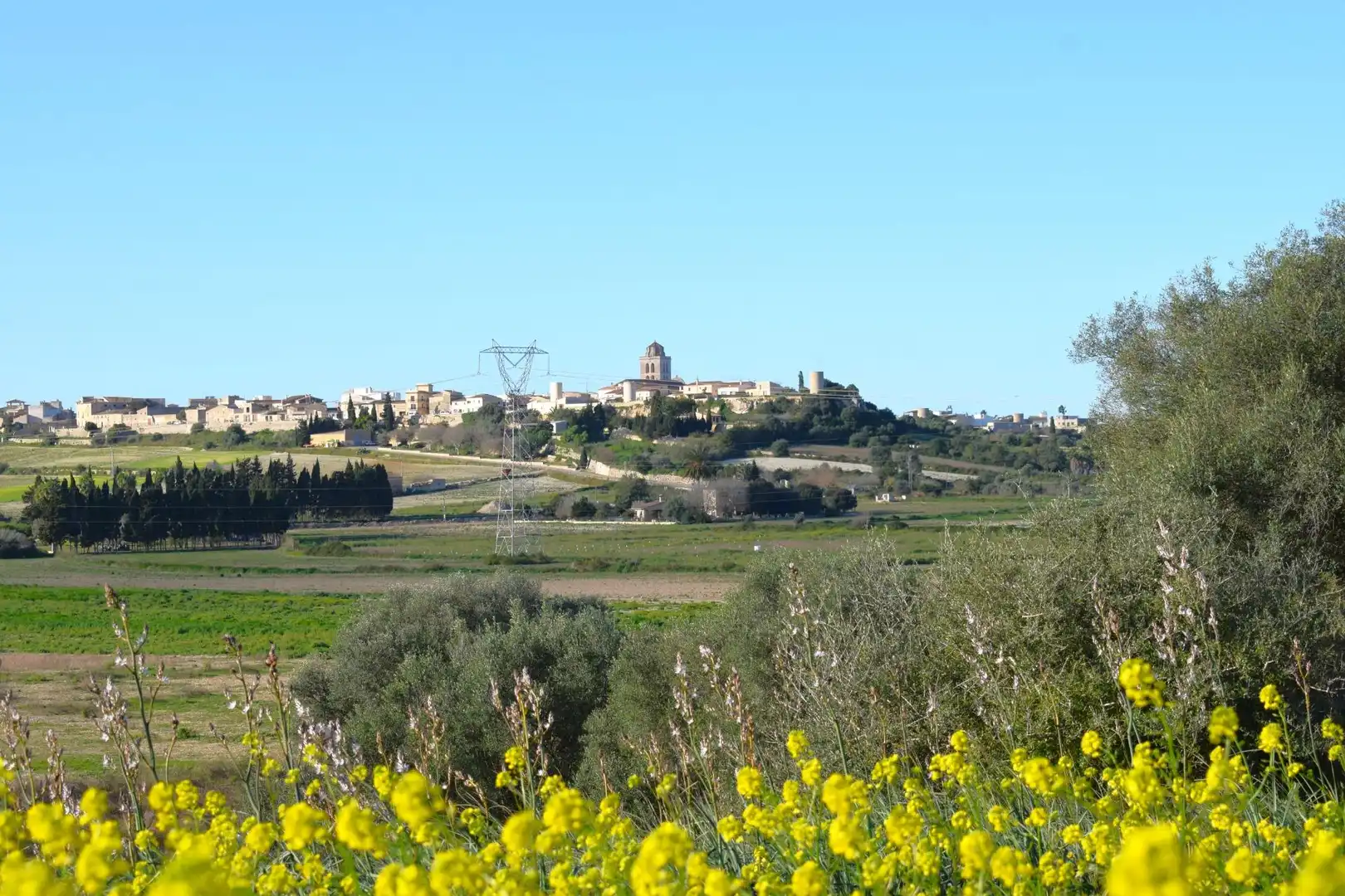 Residential land for sale in Muro, imagen 4