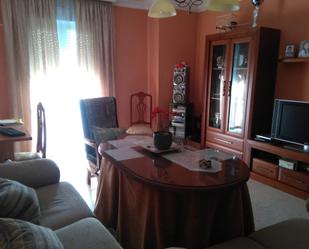 Living room of Flat for sale in Don Benito  with Private garden, Terrace and Furnished