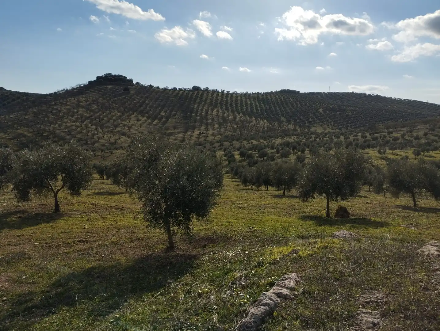 Rural land for sale in Calle Río Anzur, imagen 12
