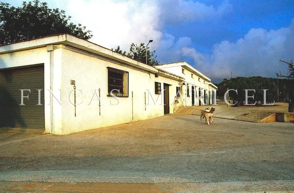 Vista exterior de Finca rústica en venta en El Vendrell con Calefacción, Jardín privado y Terraza
