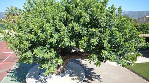 Photo 4 of House or chalet for sale in Pont d'Inca, Illes Balears