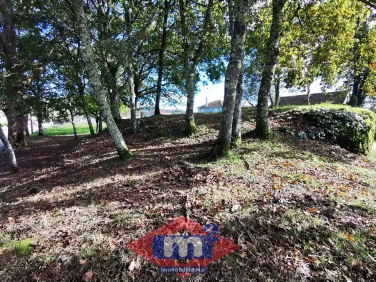 Lands and plots for sale in Salceda de Caselas, imagen 9