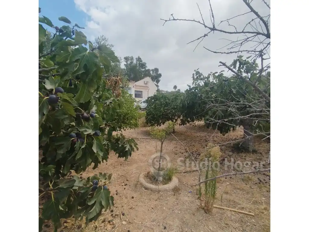 Villa in vendita a Diseminados Diseminados, imagen 11