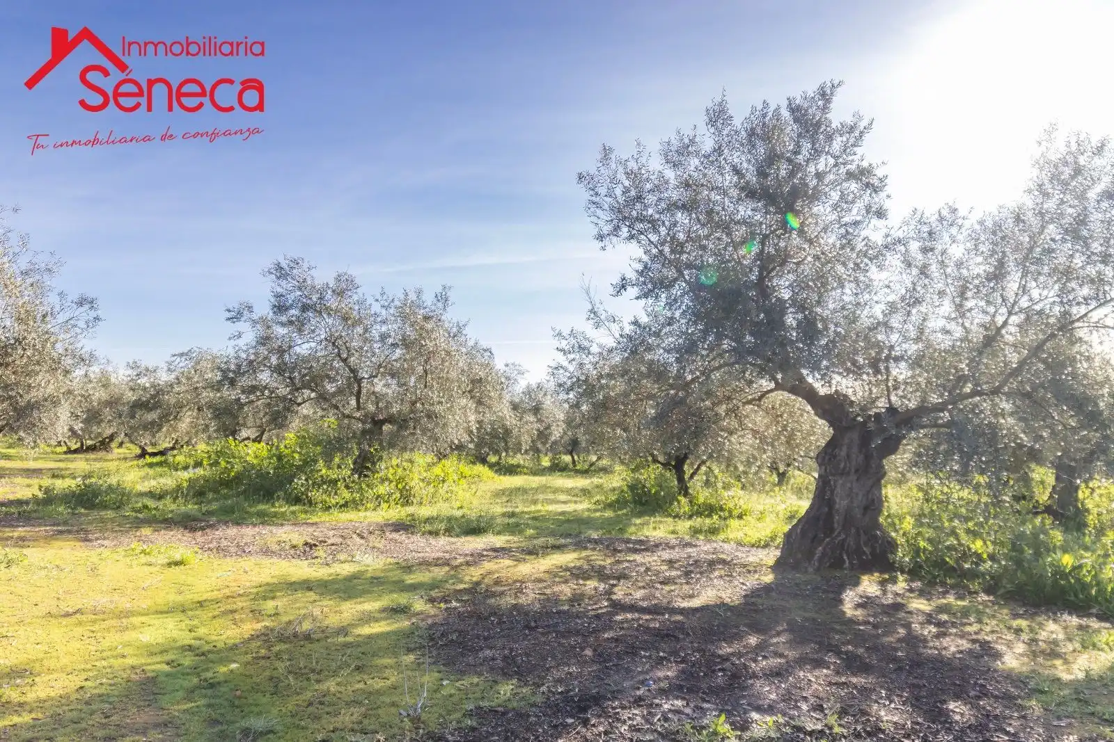 Casa o chalet en venta en ADAMUZ - ALGALLARIN, Adamuz