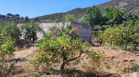 Foto 4 de Terreny en venda a Diseminado Poligono 13, 159 -, Doña Ana, Cártama