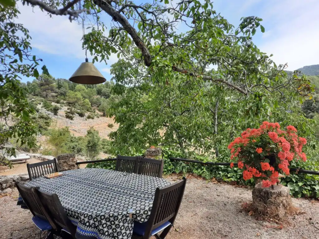 Garden of Country homes for sale in Villacarrillo  with Air Conditioner, Private garden and Swimming Pool
