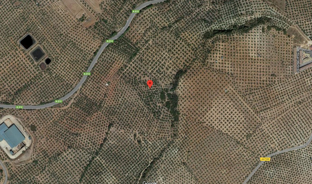 Land for sale in Navas de San Juan