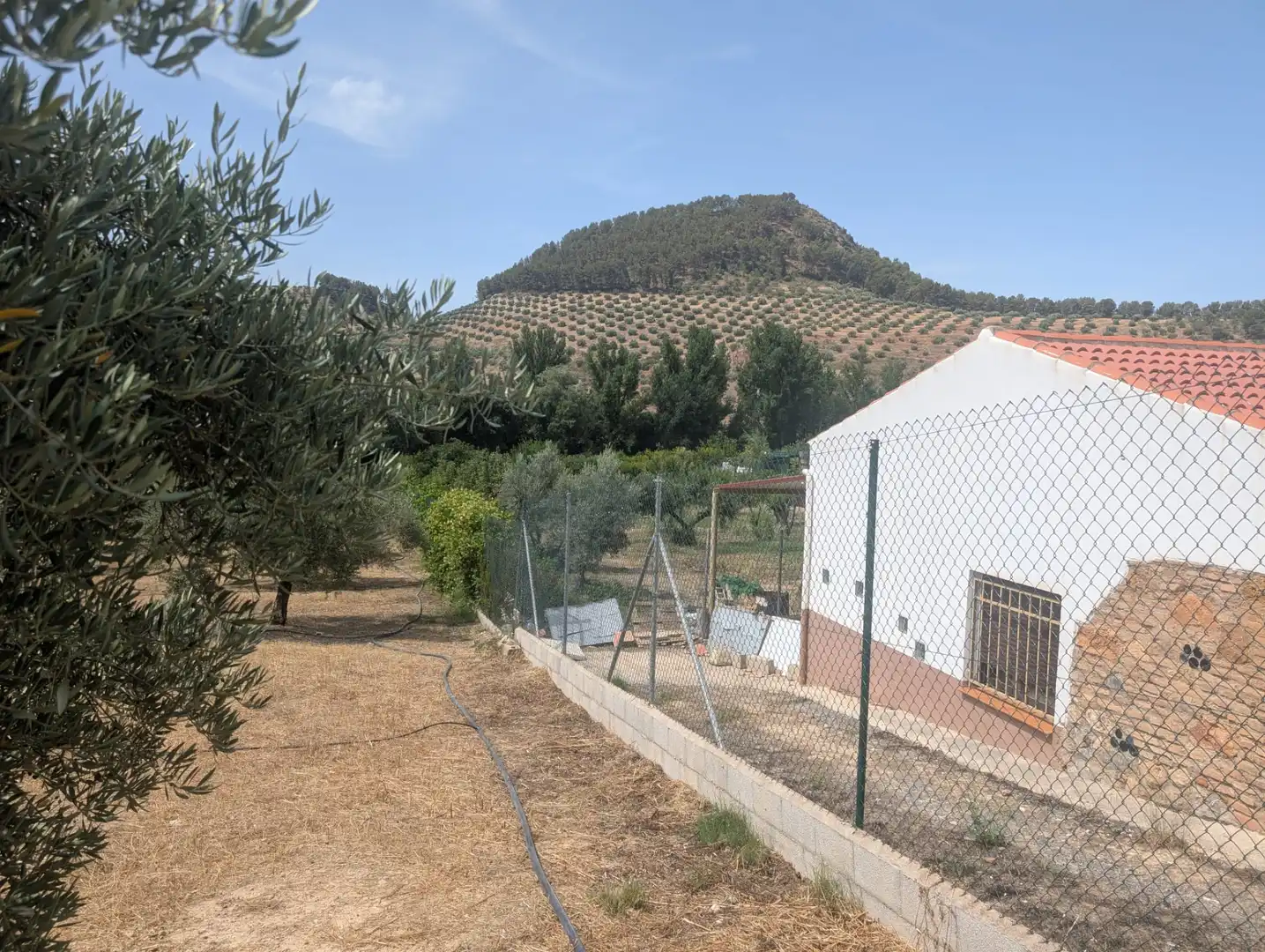 Casa rústica en venda a Alcaudete, imagen 2
