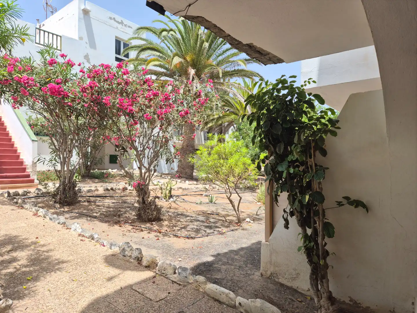 Apartamento con piscina en venta en Calle Artesano Paquito Batista, imagen 17