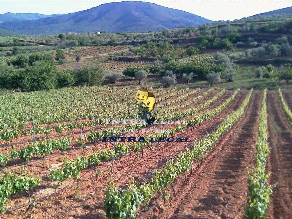 Local en venta en Sotoserrano con Aire acondicionado, Amueblado y Alarma