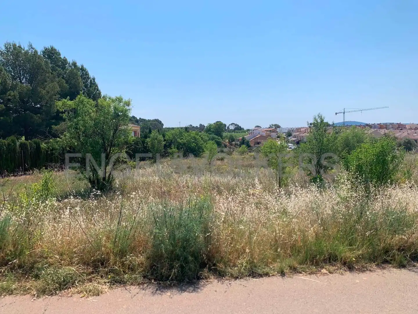 Terreny rústic en venda a Requena, imagen 5