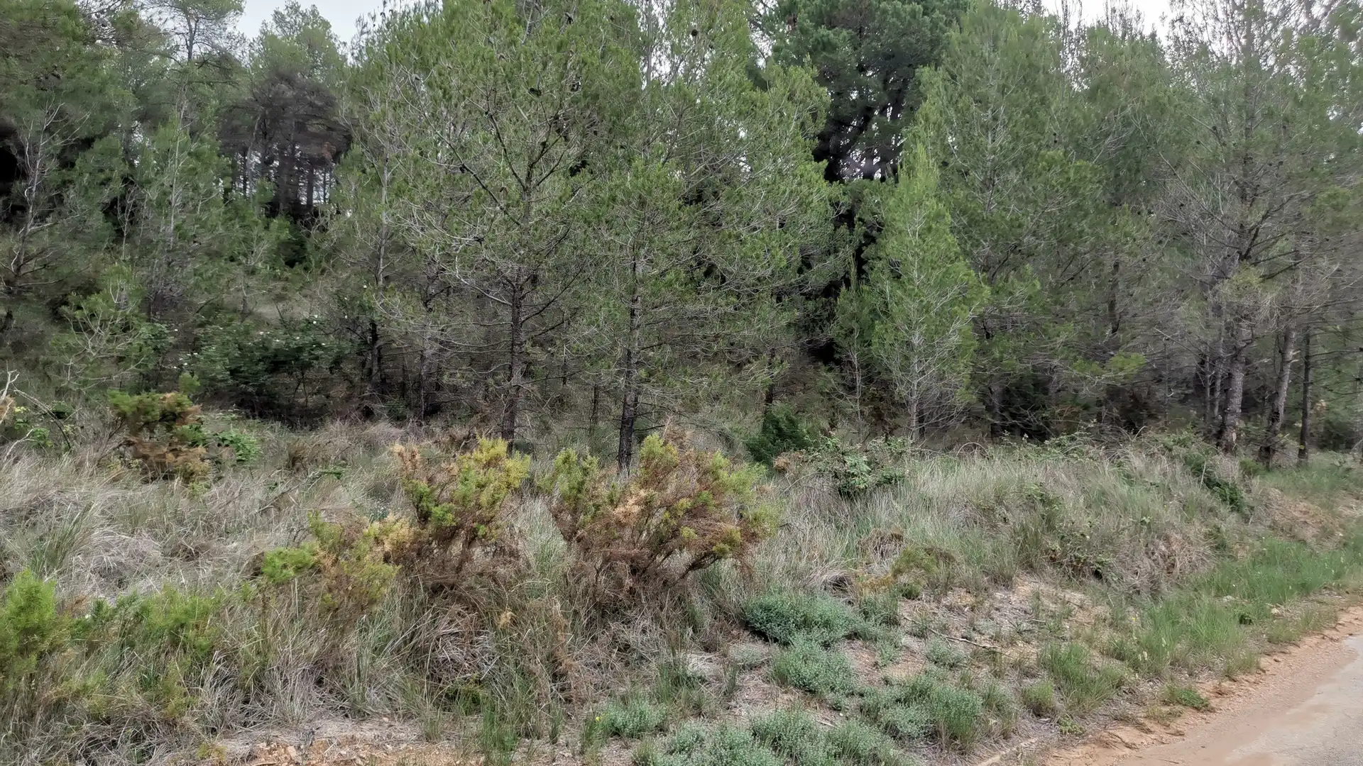 Residencial en venta en El Montmell