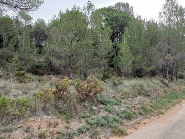Terreny residencial en venda a El Montmell