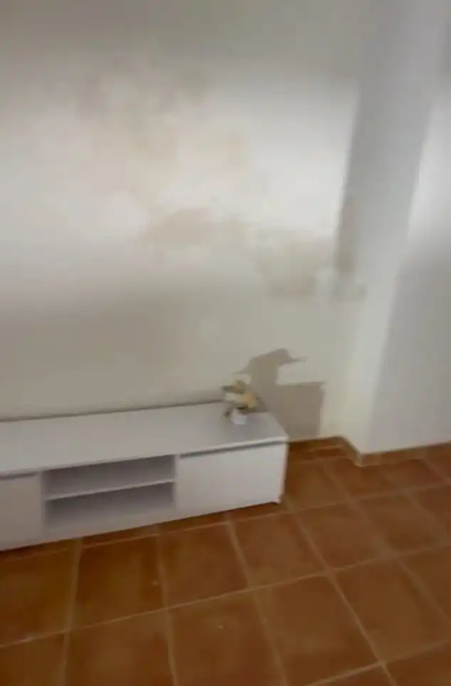 Wohnung mit Terrasse zur Miete in San Jorge / Sant Jordi, imagen 9