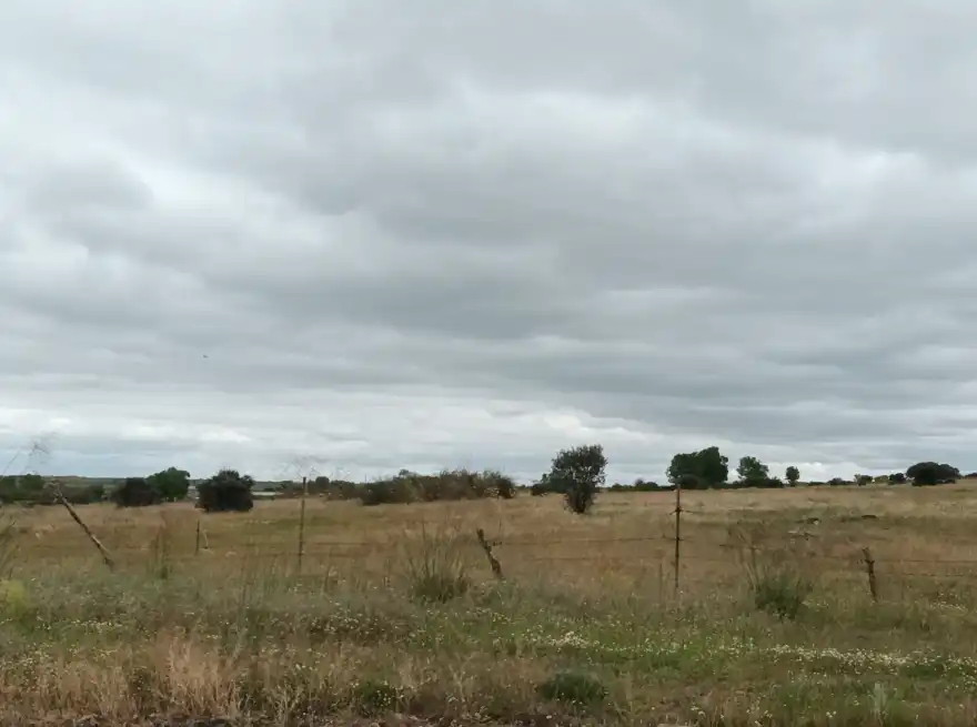 Terreni e lotti in vendita a PALAZUELOS-SAN ILDEFONSO 26, imagen 12