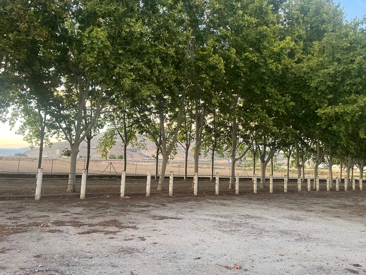 Industrial building for sale in Carretera de Córdoba, imagen 180