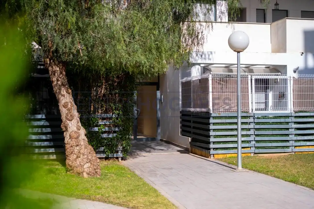 Vista exterior de Planta baja en venta en Alfara del Patriarca con Aire acondicionado, Calefacción y Jardín privado