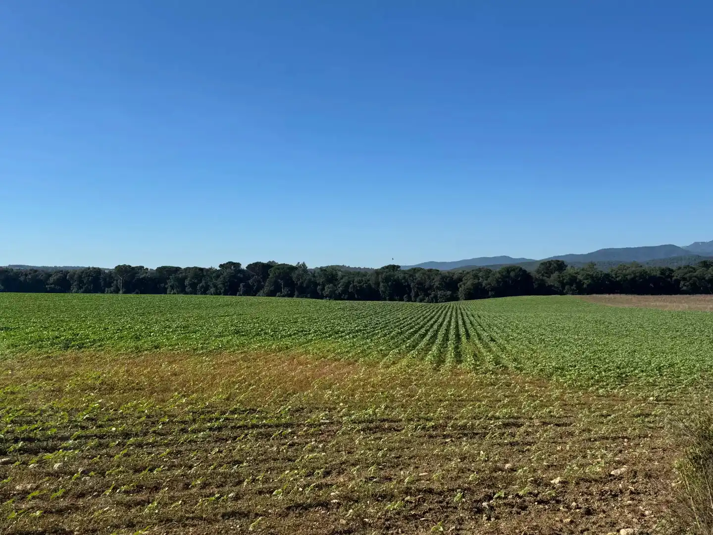 Terreny residencial en venda a Maià de Montcal, imagen 2